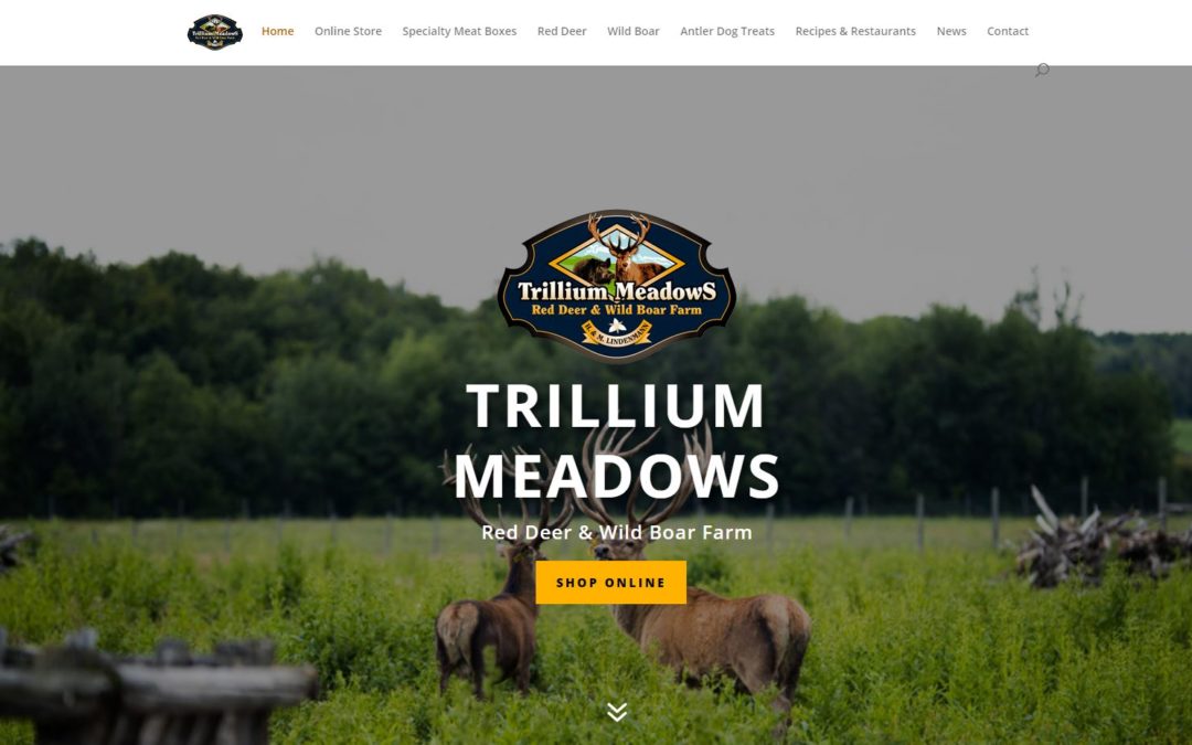 Trillium Meadows